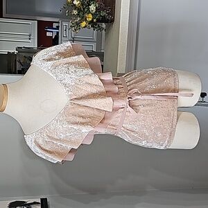 White‎ house black market velvet light pink V neck and back XS women's to…